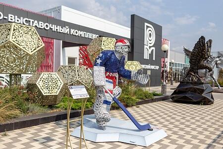 Вратарь хоккейной команды