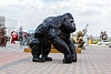 Горилла