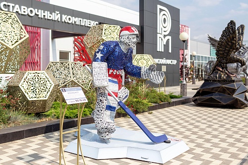 Вратарь хоккейной команды