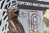 Бюст коня